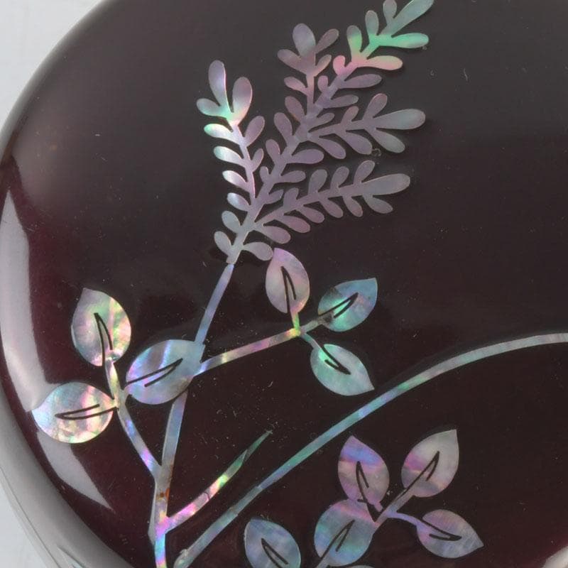 茶道具　螺鈿装飾　草蒔絵　棗　時代箱　V　9673