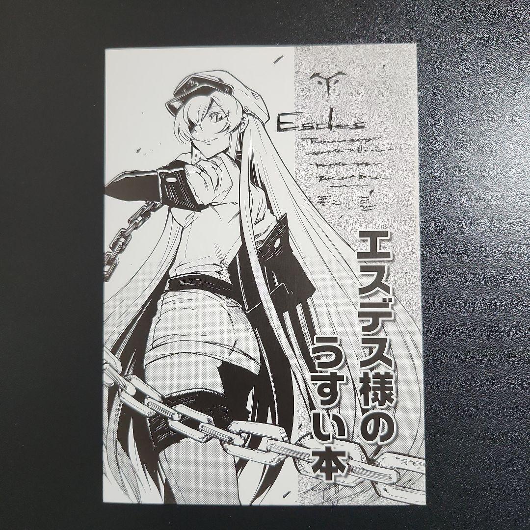 アカメが斬る! 4巻特典 エスデス様のうすい本