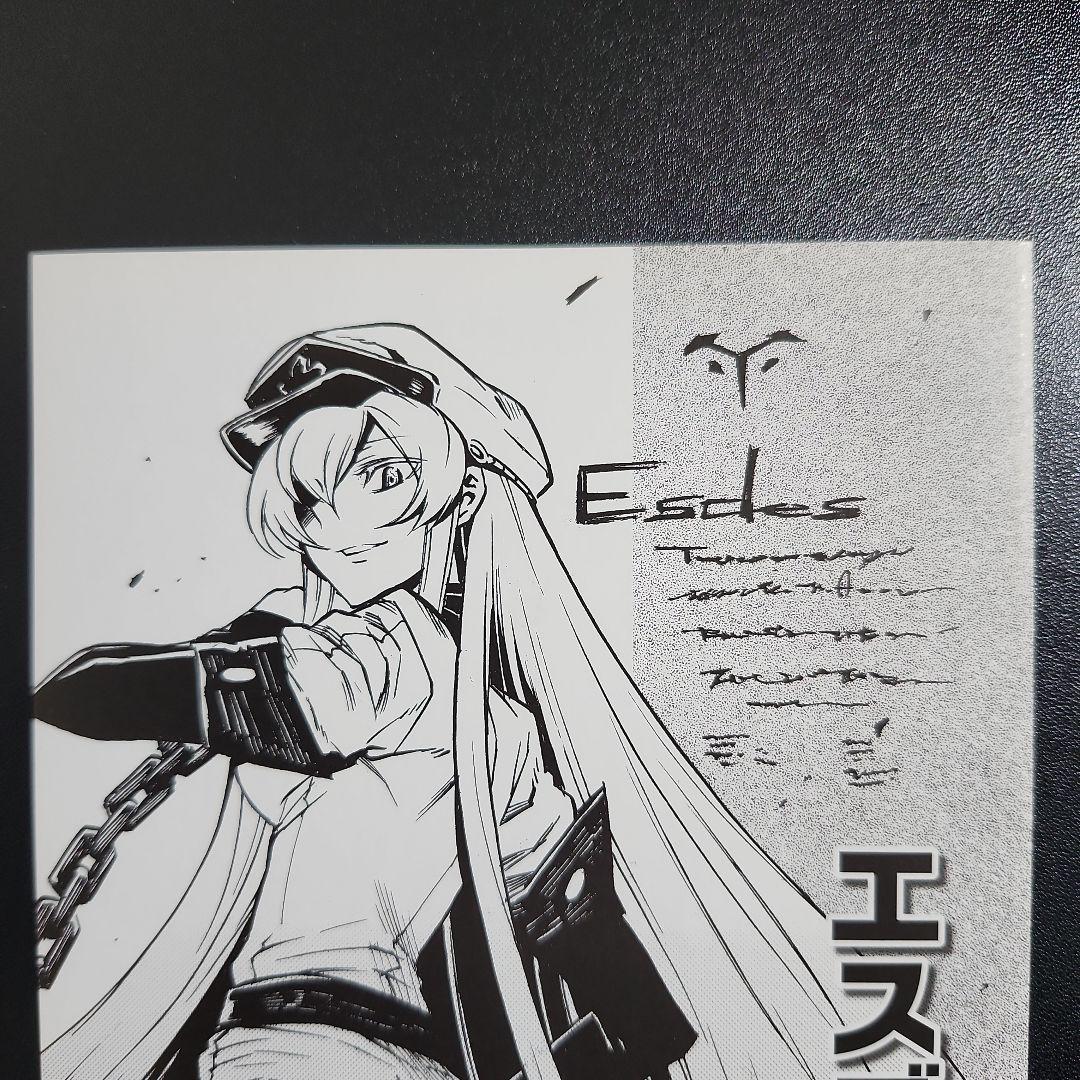 アカメが斬る! 4巻特典 エスデス様のうすい本