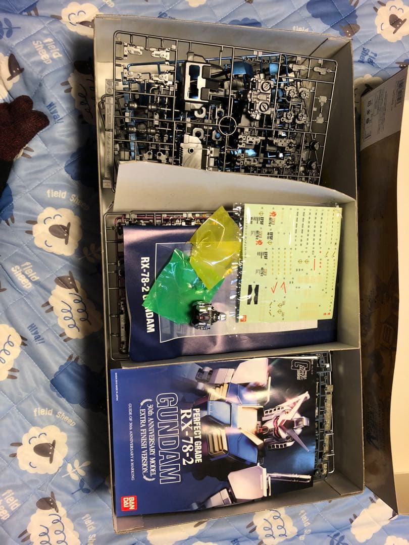 RX-78-2 GUNDAM PG 30周年記念モデル