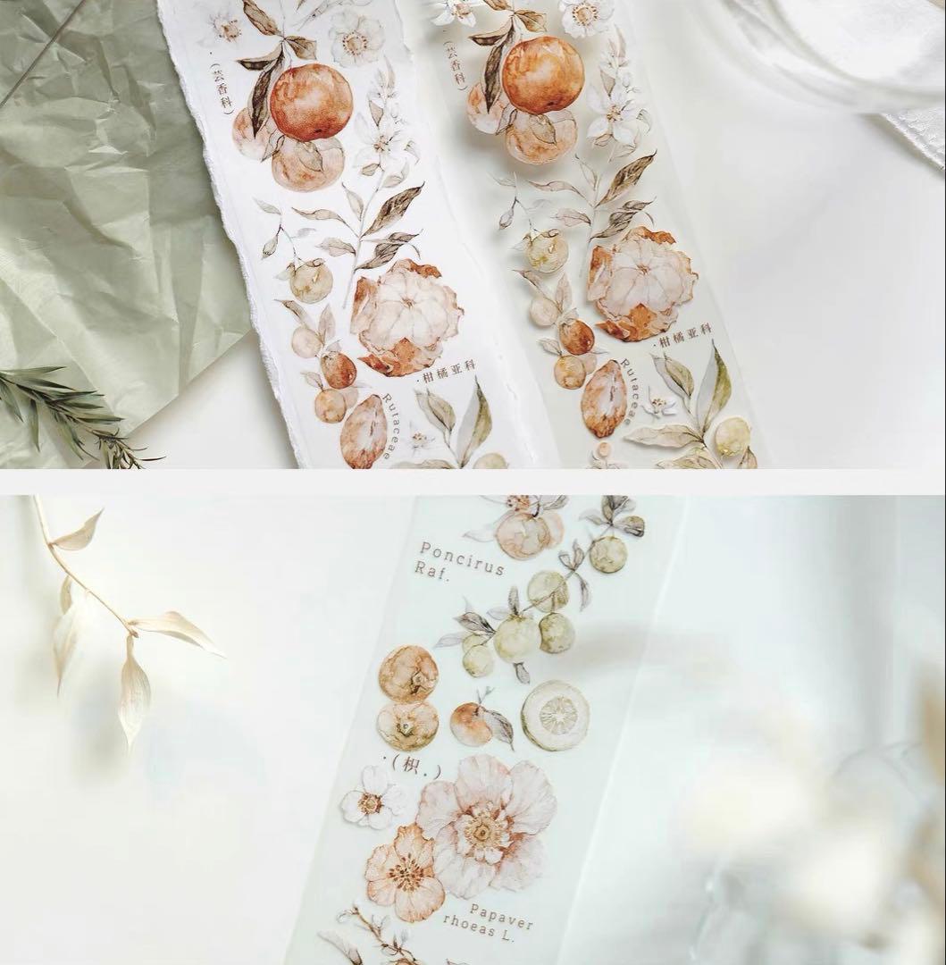 ⭐️SALE⭐️ 雀斑茶《橘枳》海外マスキングテープ　マステ 【1336】