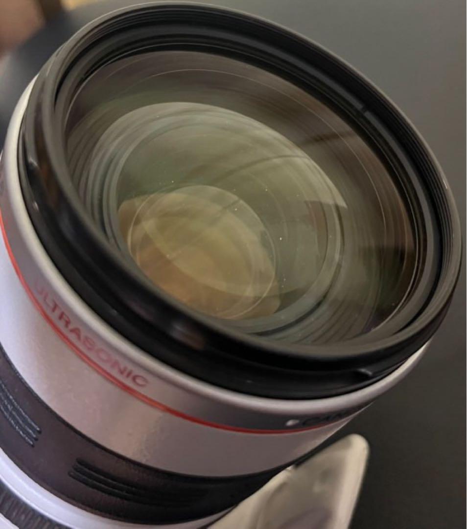 レンズ(ズーム) Canon EF 35-350mm f/3.5-5.6L USM