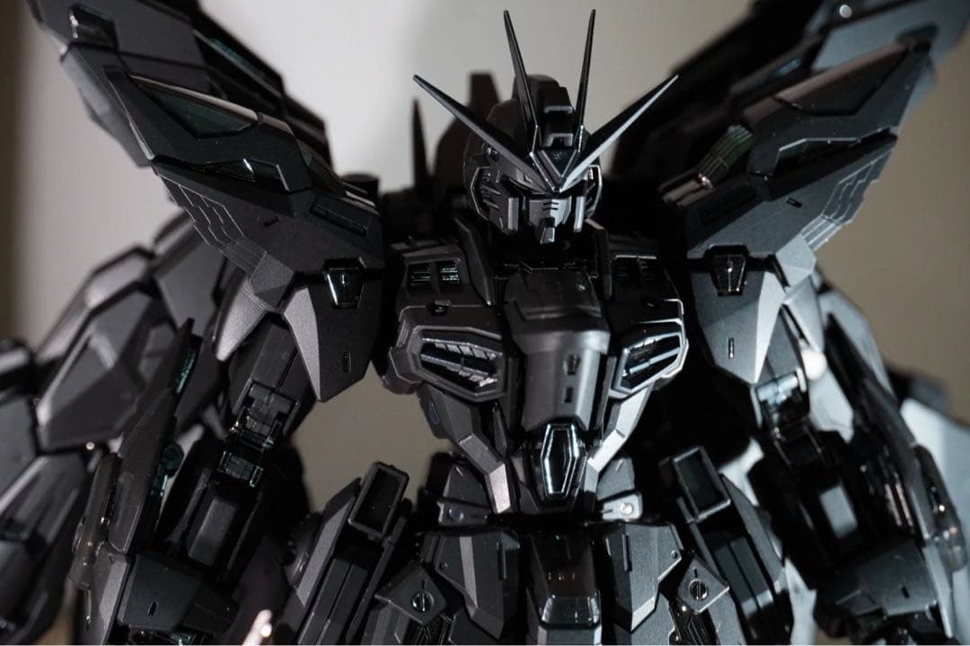 A*A様 1/100 ストライクフリーダム　ミッドナイトコーティング　海外製プラ