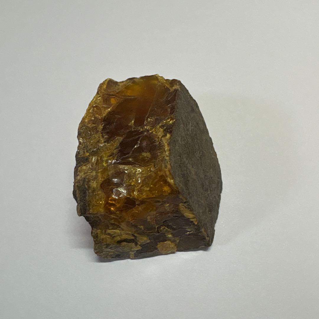 琥珀 アンバー 化石 宝石 原石 岩手県久慈産