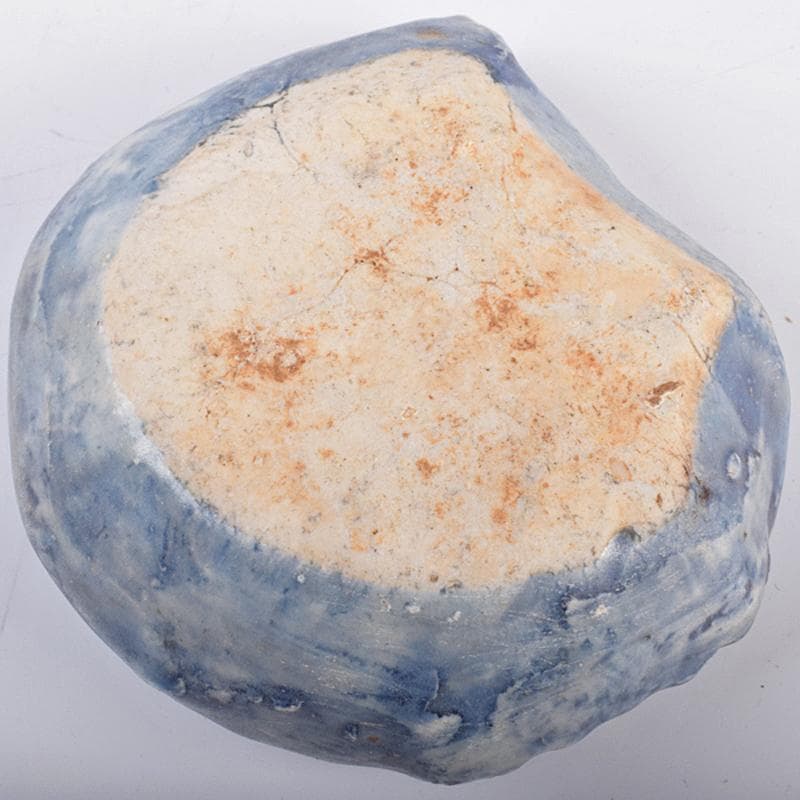 李朝　瑠璃釉　魚形水滴　V　R4752