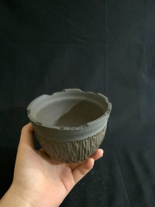 Kikko  吉光釜 激レア鉢 アガベ チタノタ グラキリス パキポディウム