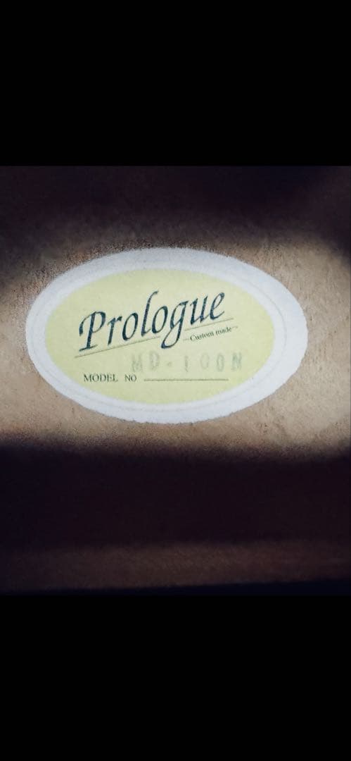 ◾️アコースティックギター プロローグMD-100N状態良いです◾️