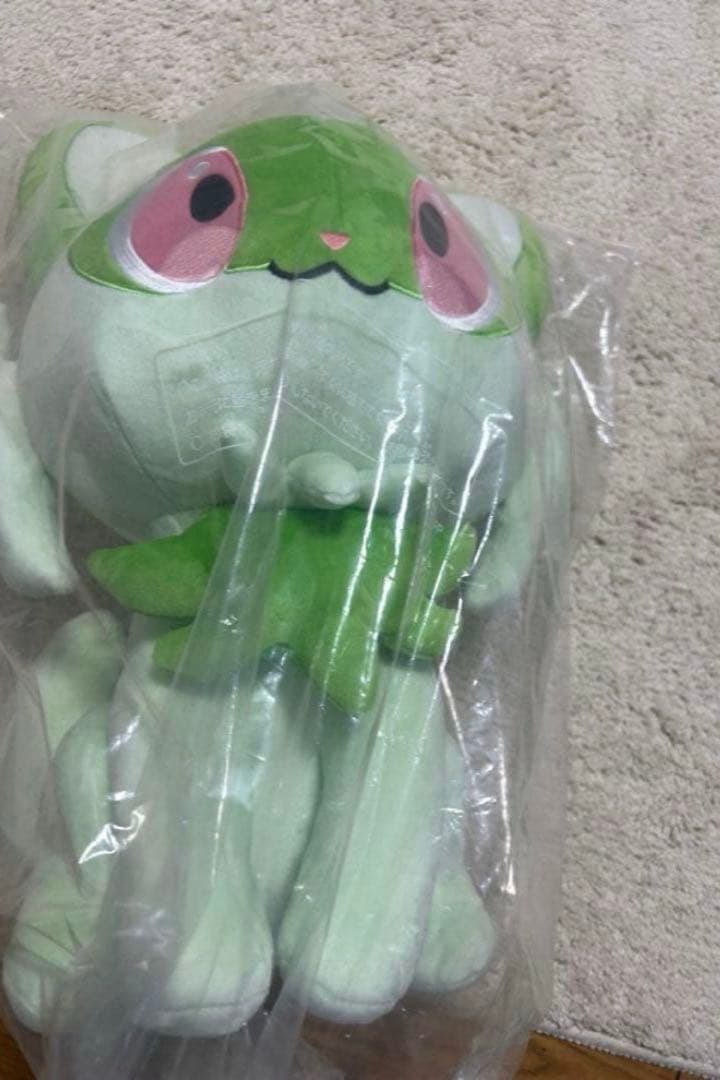 ポケモンタマザラシ等身大ぬいぐるみ！ニャオハ！ヒノアラシ！