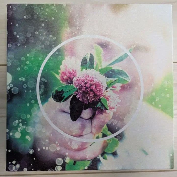 THE ORAL CIGARETTES サイン入りジャケットキャンバス