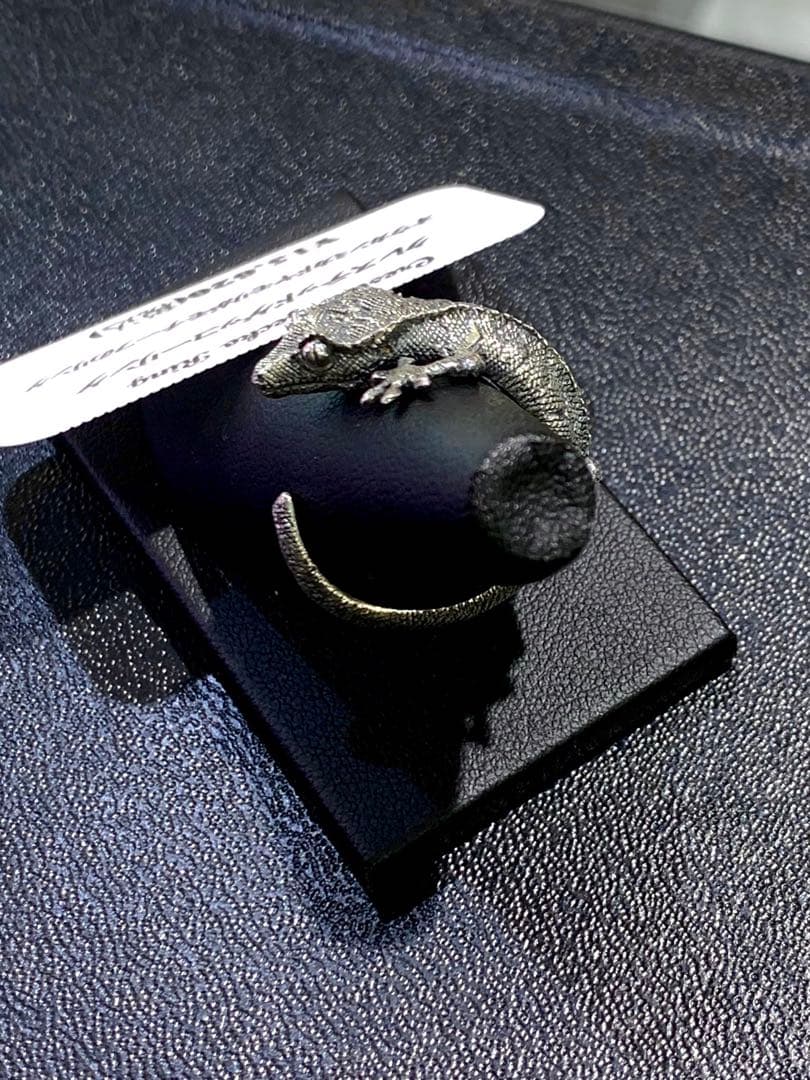 コールドアイズ　クレステッドゲッコー 15号　爬虫類