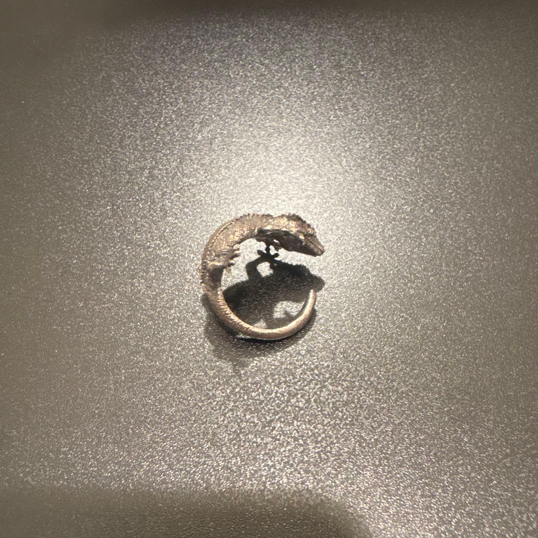 コールドアイズ　クレステッドゲッコー 15号　爬虫類