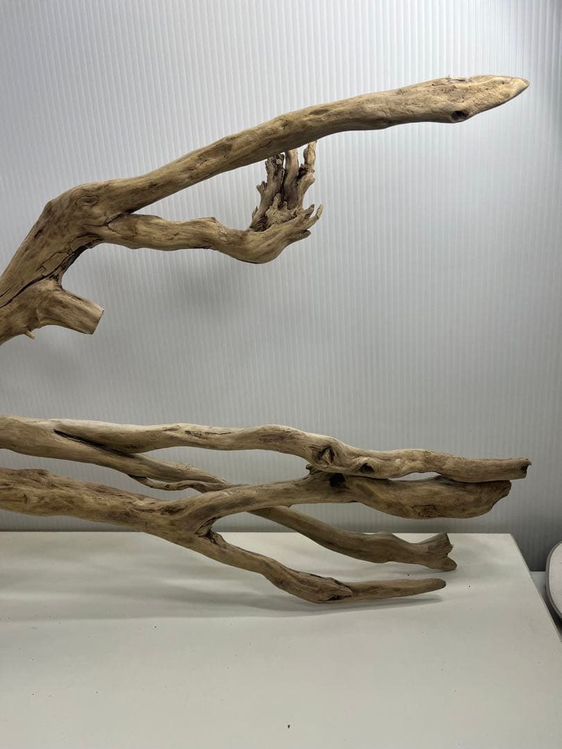 V24特大流木 アク抜き済み流木 爬虫類シェルター 登り木 インテリア 生け花