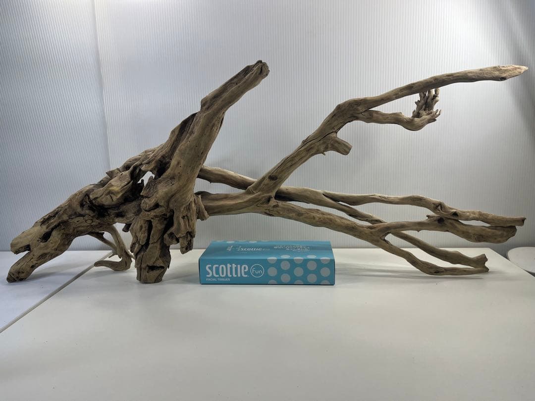 V24特大流木 アク抜き済み流木 爬虫類シェルター 登り木 インテリア 生け花