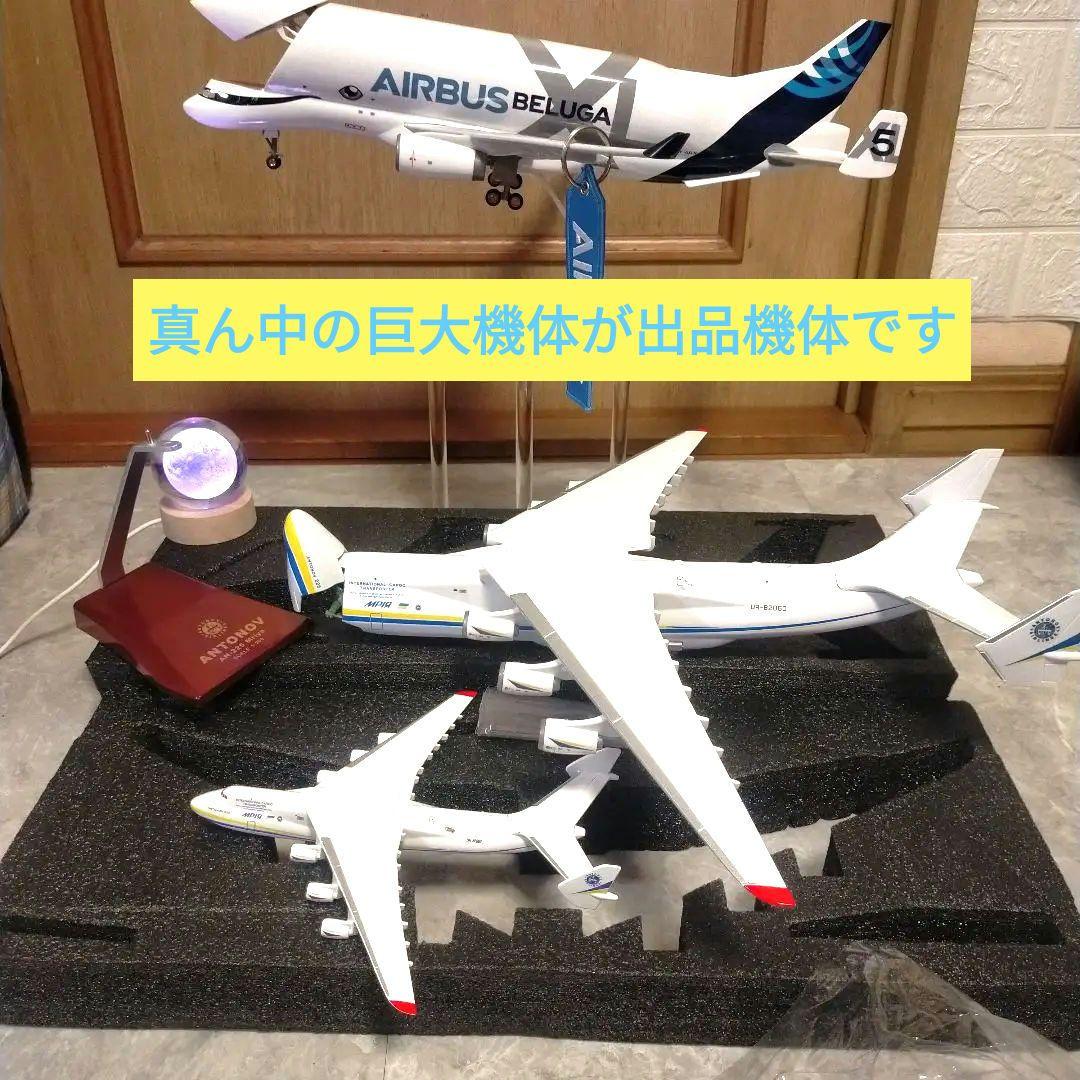 4/28..new!アントノフ ムリーヤ（大）約42cm