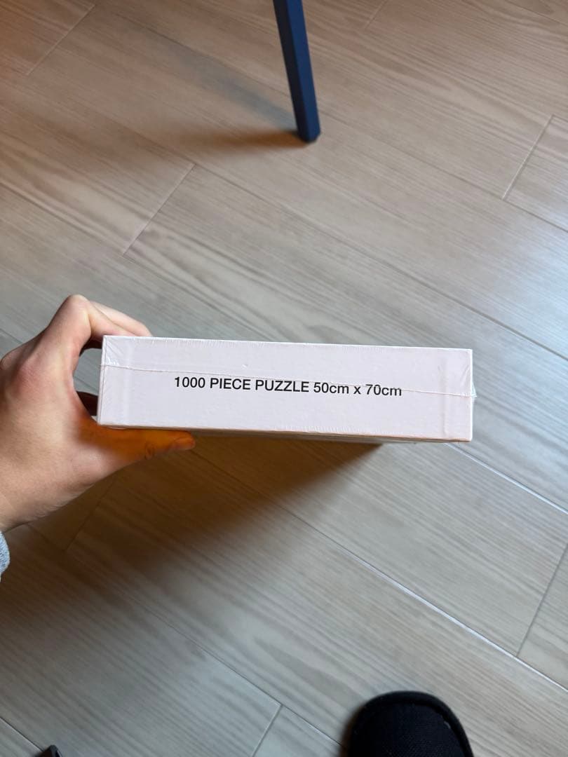 STUSSY BIG MEATY PUZZLE ステューシー パズル 新品