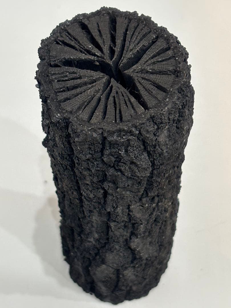 茶道具 炉用 胴炭 約11本入 木炭の最高傑作 炭 くぬぎ製 茶の湯