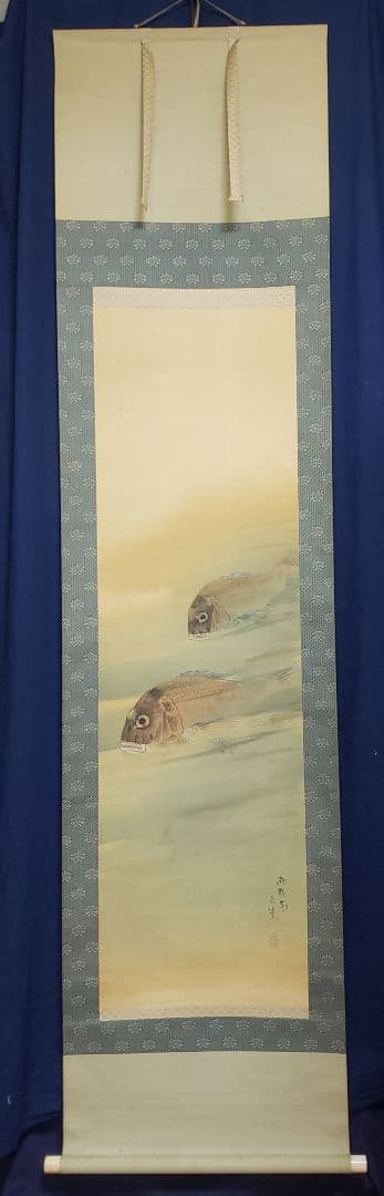 鯛図【洋中赤鬃魚】今井景樹 2600 海中の鯛 共箱　掛け軸　肉筆
