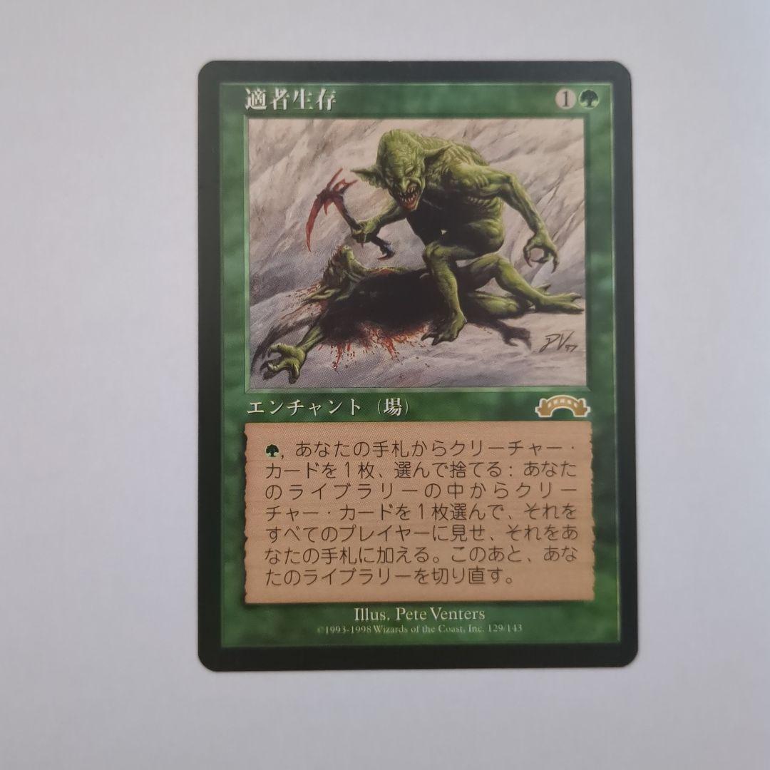 MTG 適者生存　日本語版1枚