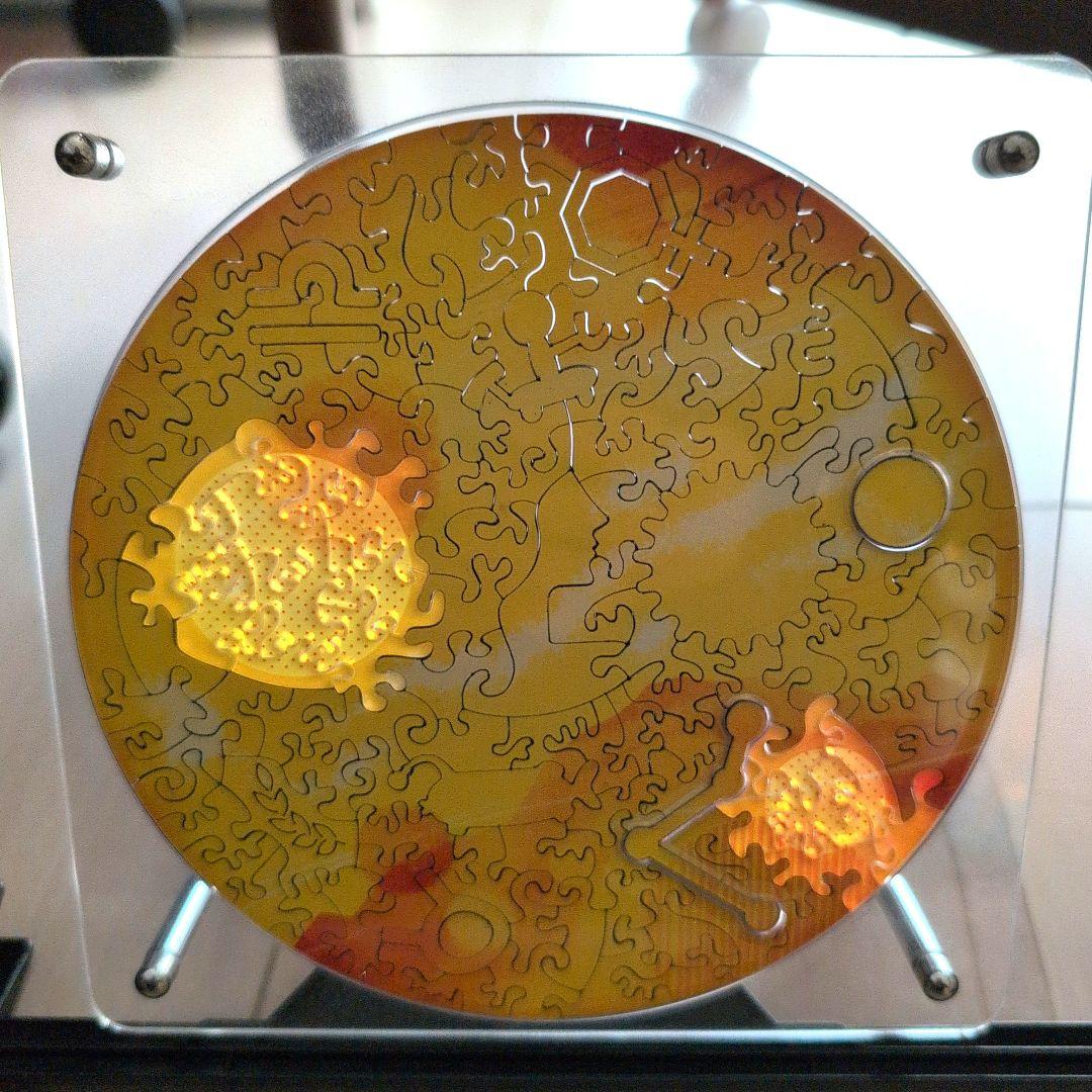 宇宙の欠片　pieces of galaxy Venus 金星