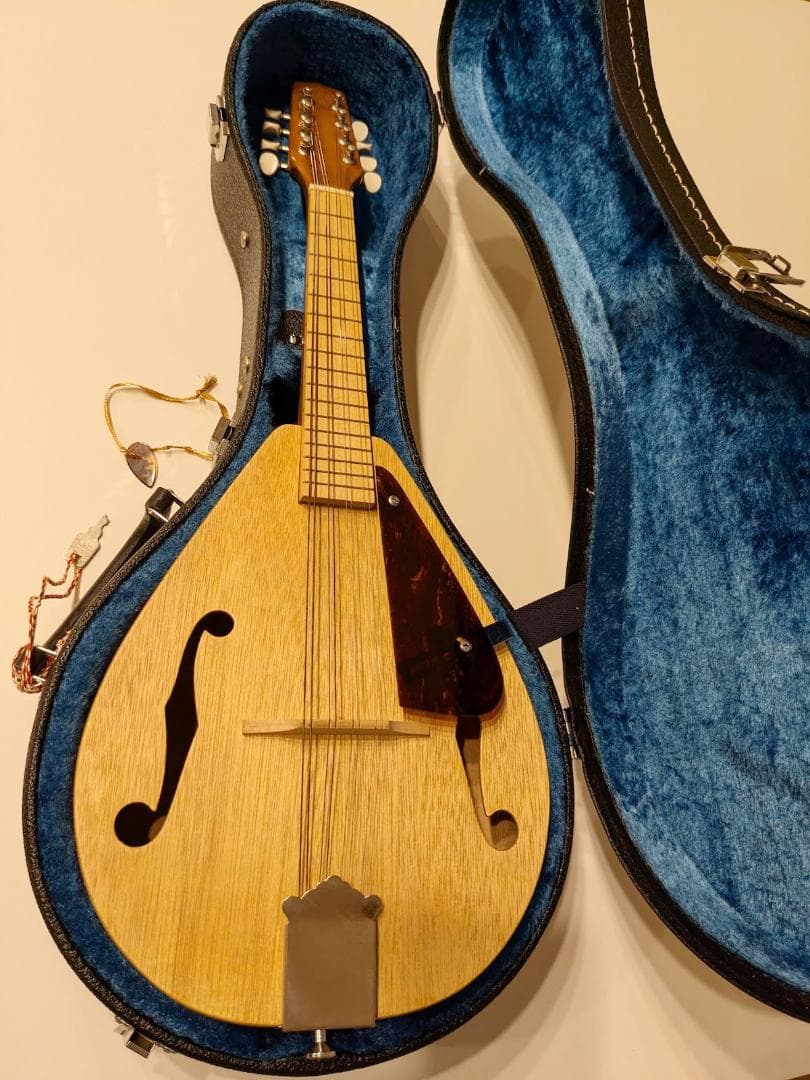 初心者用フラットマンドリン（1990年代製作）専用ハードケース付