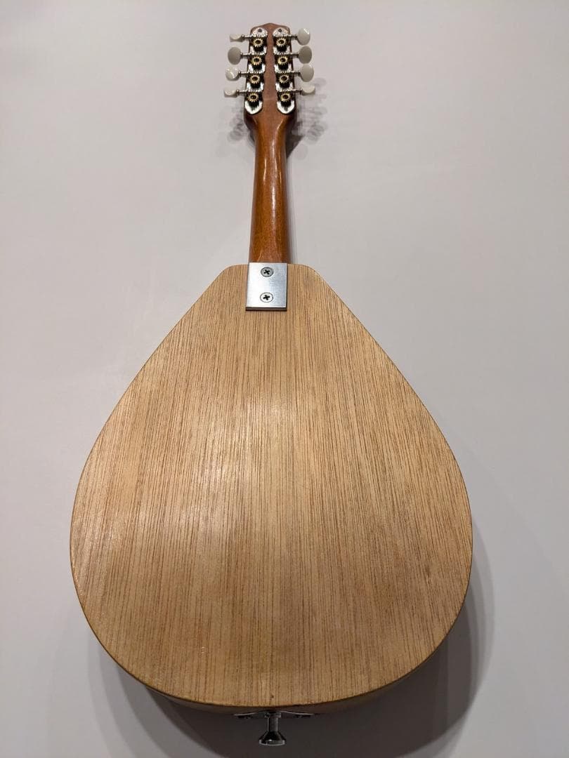 初心者用フラットマンドリン（1990年代製作）専用ハードケース付