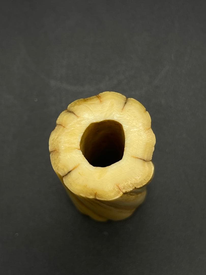 江戸時代　古い　一角　イッカク　鯨歯　根付　蓋置　骨董古美術