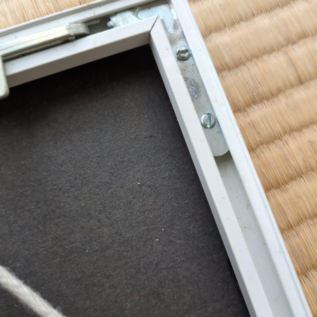 井上公三額縁付き金色の葉