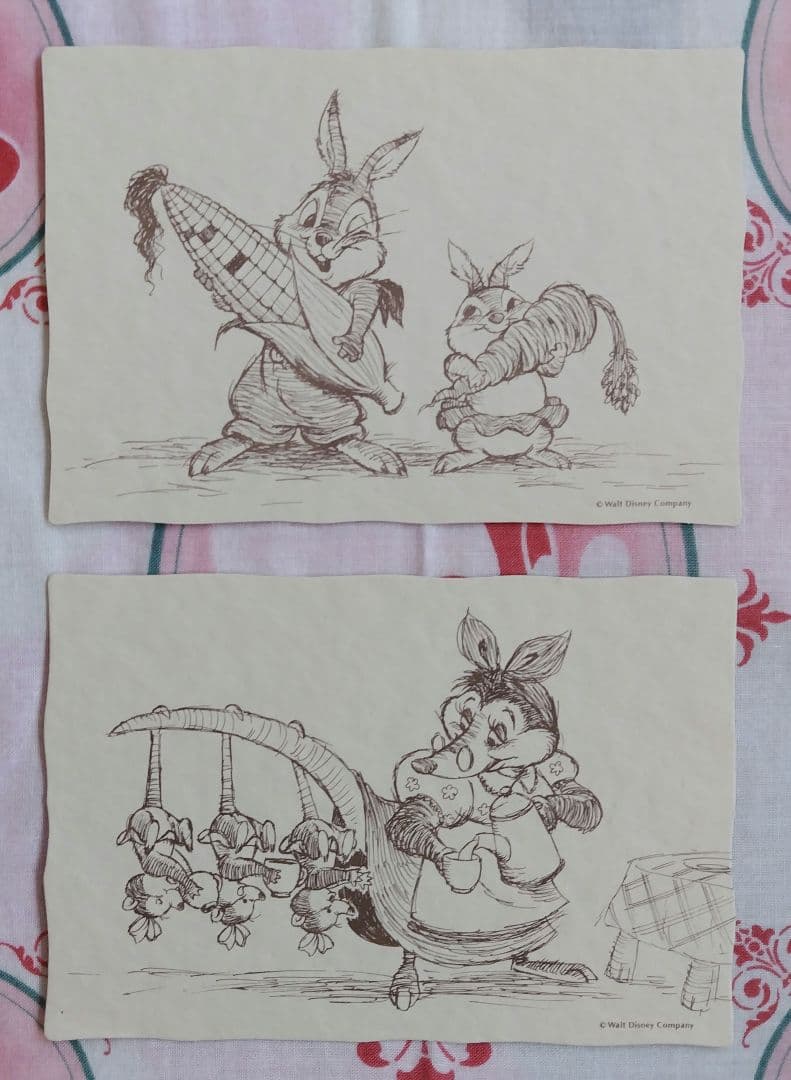 超レア！ディズニーポストカード　クリッターカントリー