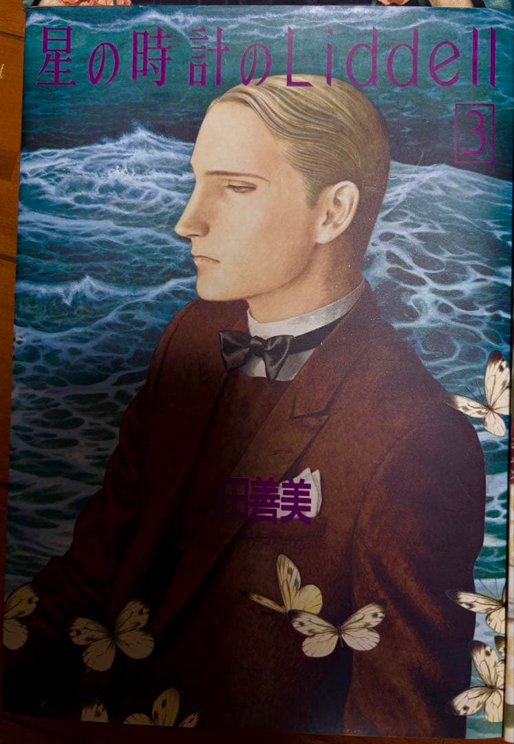 内田善美　絶版品！ 草迷宮、草空間。星の時計のリデル ぶーけセレクション他