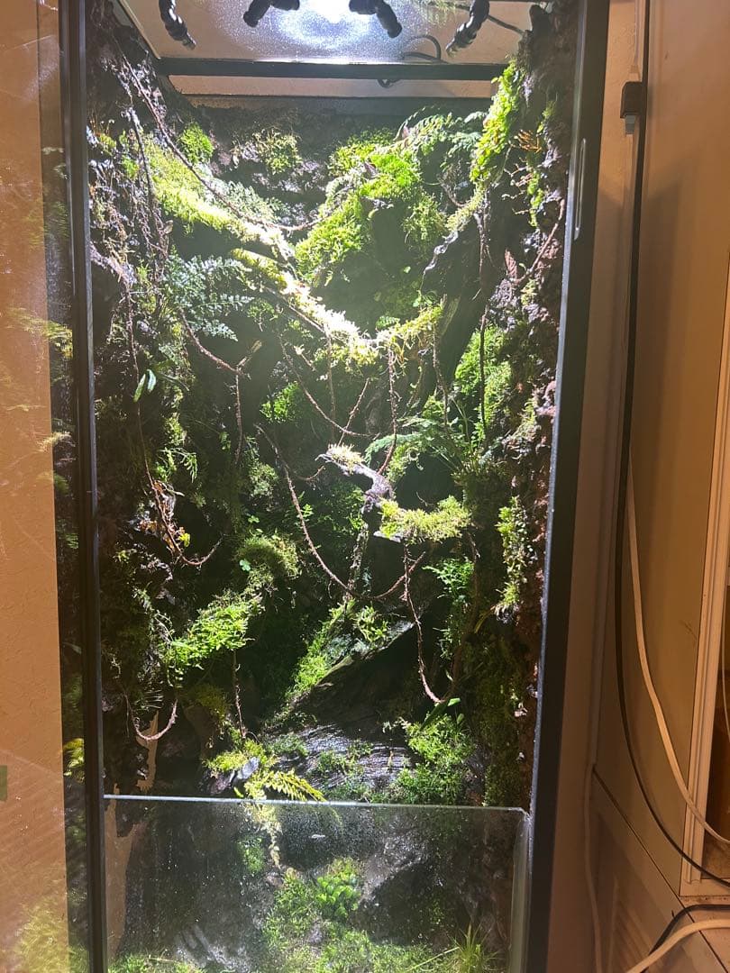 巨大テラリウム　縦型