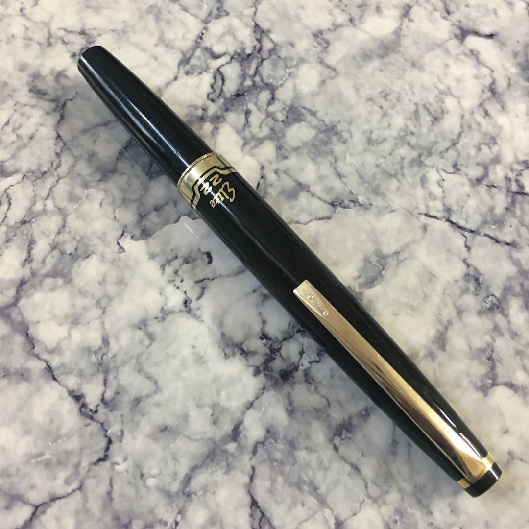 #0231 オーバーホール済み 万年筆 PILOT パイロット ショート22k