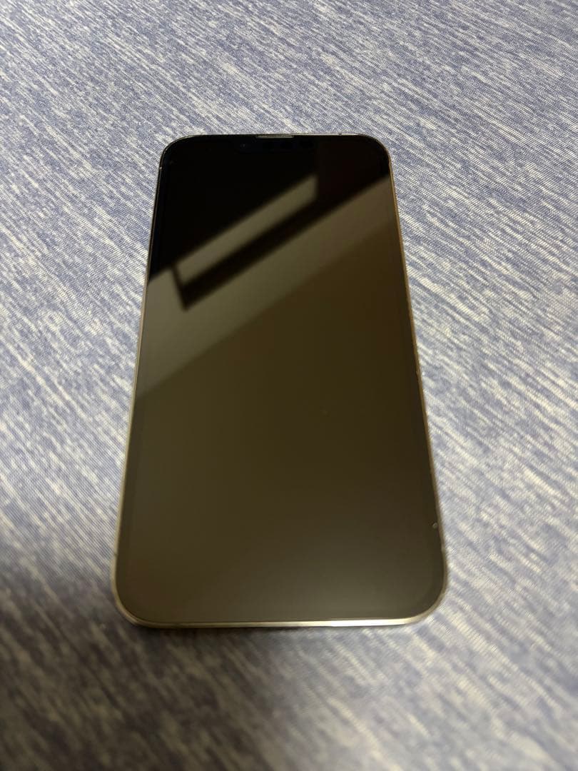 Apple iPhone 13 Pro グラファイト 6.1インチ