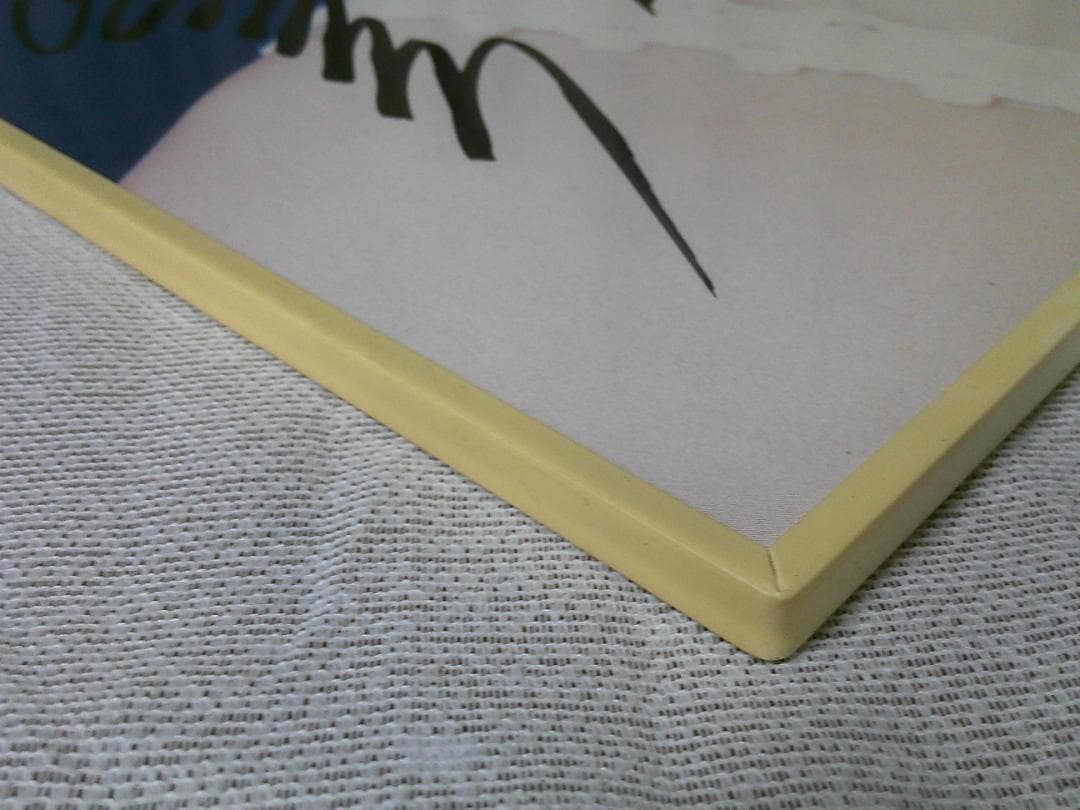 演ドル 林あさ美 特大パネル サイン入り 【風の恋唄 告知パネル】 非売品 販促