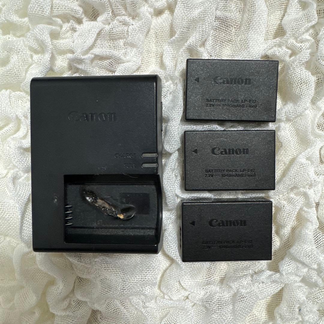 Canon EOS 8000D ダブルズームキット