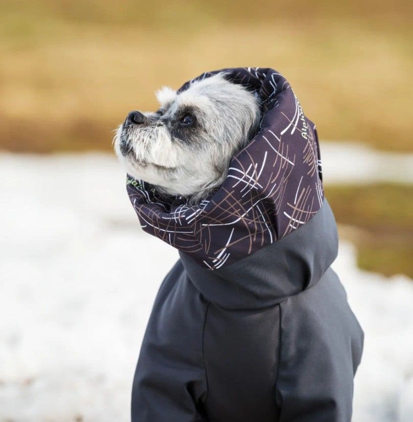 アルファアイコン　スノードックガードエアー　ALPHAICON LL