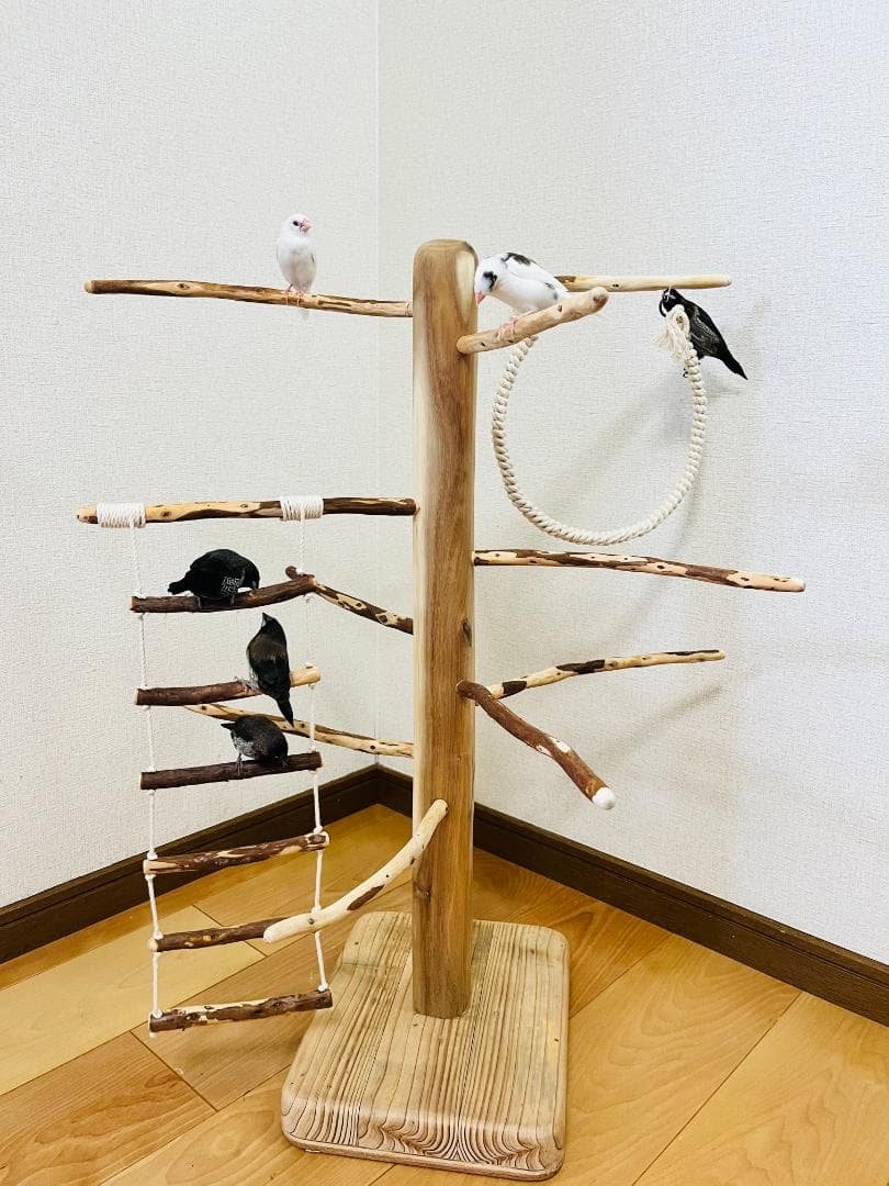 【小鳥用】ブランコ＆ハシゴ付　♬螺旋状 バードアスレチック