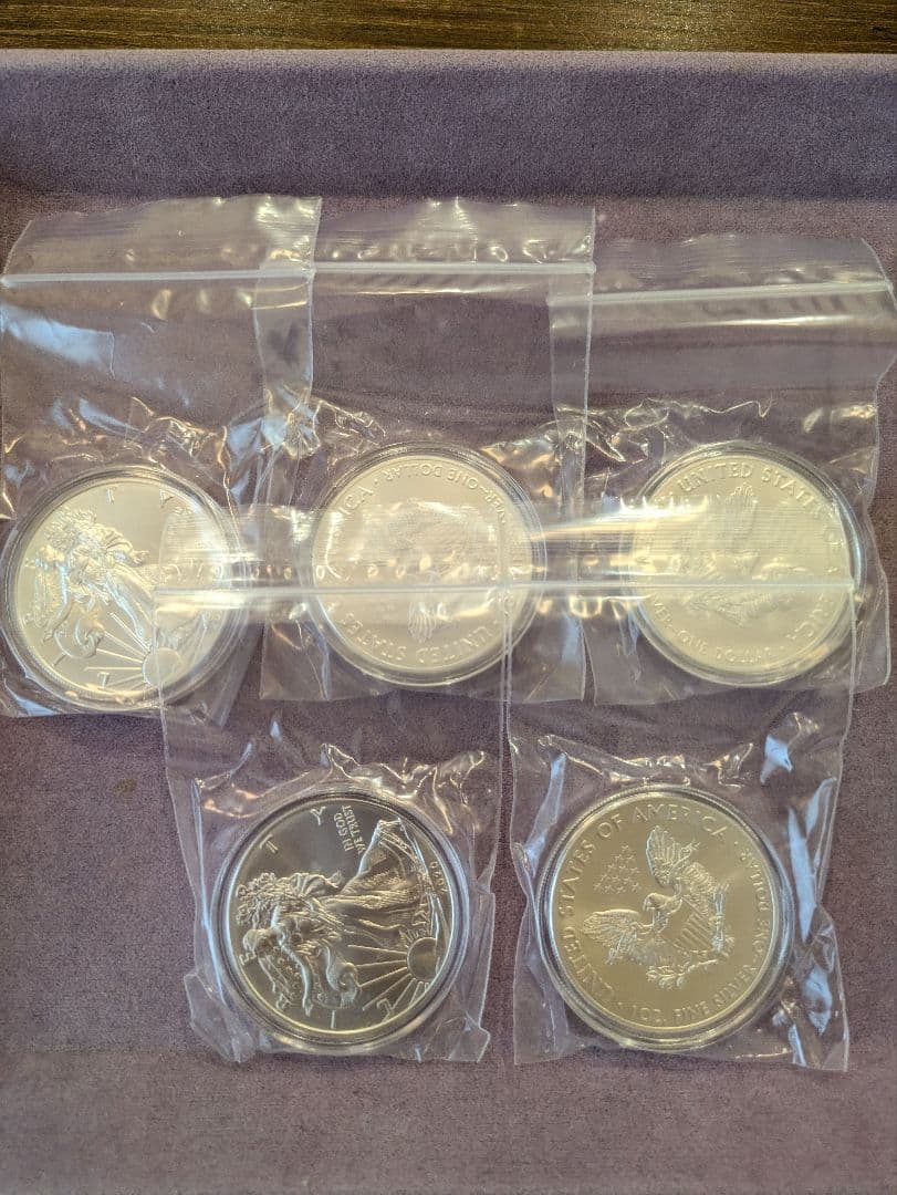 2020年 アメリカイーグル1オンス銀貨 5枚セット