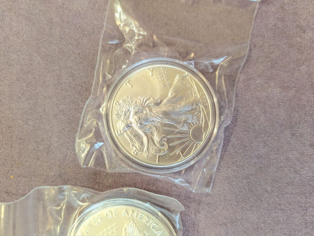 2020年 アメリカイーグル1オンス銀貨 5枚セット