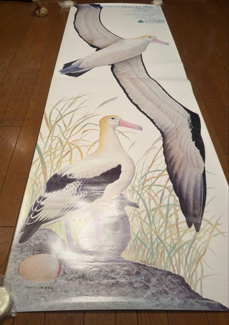 サントリー ポスター3枚セット アホウドリ イヌワシ 日本の県鳥 骨董品