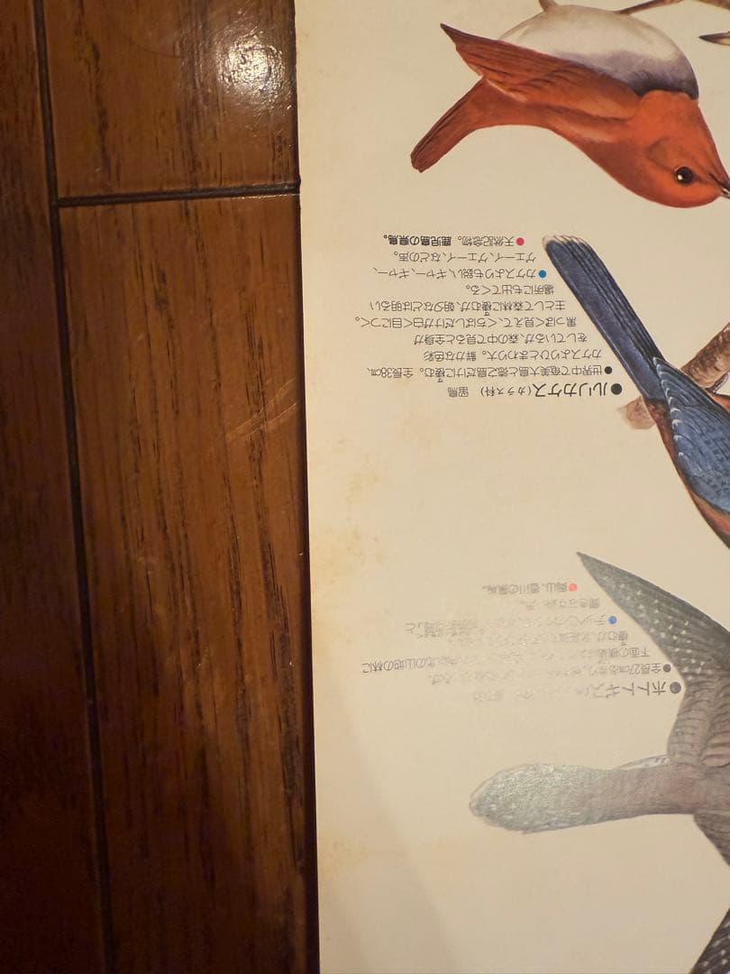 サントリー ポスター3枚セット アホウドリ イヌワシ 日本の県鳥 骨董品