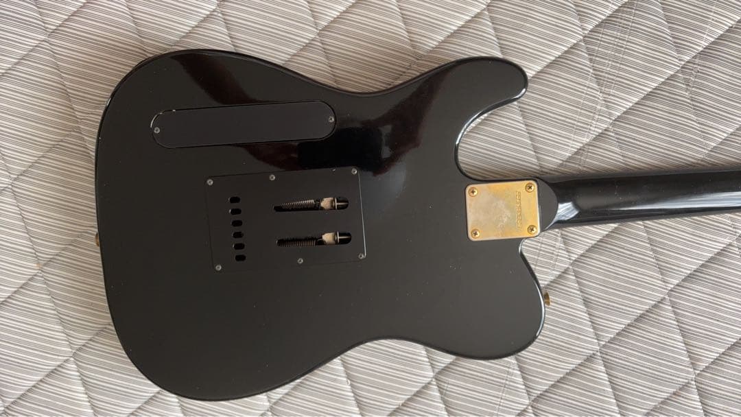 FERNANDES エレキギター 特別版 ブラック