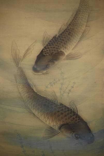 真作/白峰/遊鯉図/布袋屋掛軸HC-827