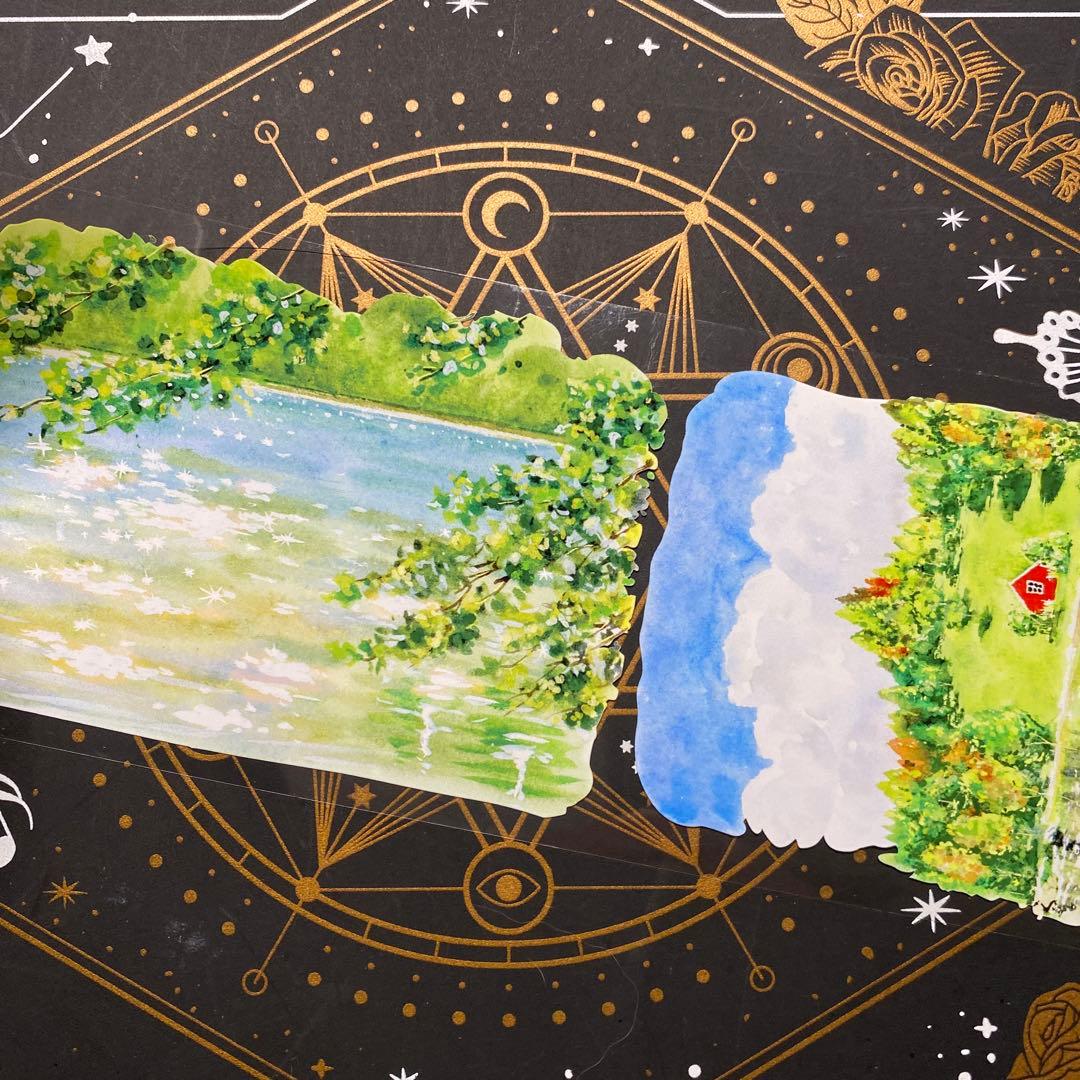 【9309】海外　マステ　中古巻　PETマスキングテープ　自然　背景系