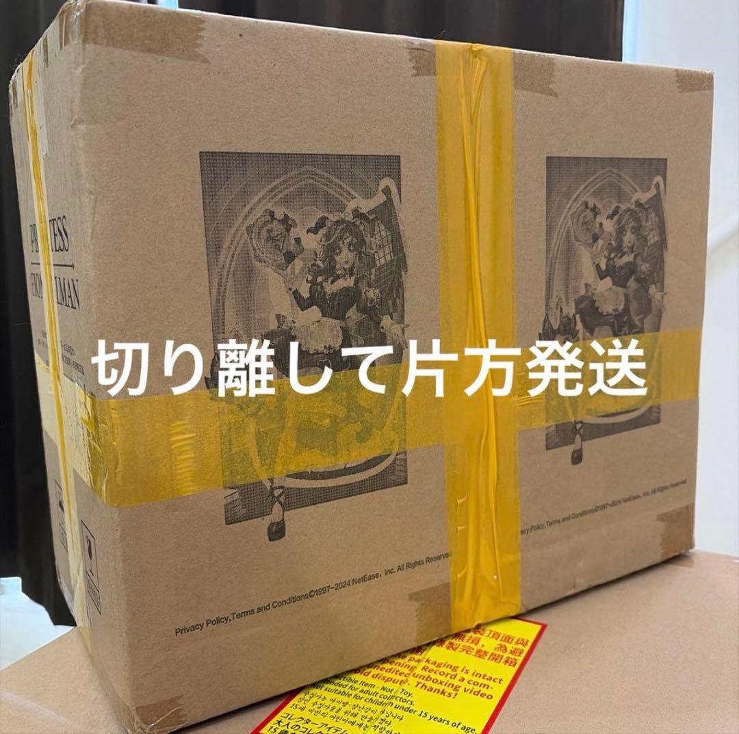 【コード未使用】オフラインパック 祭司 スカーレット