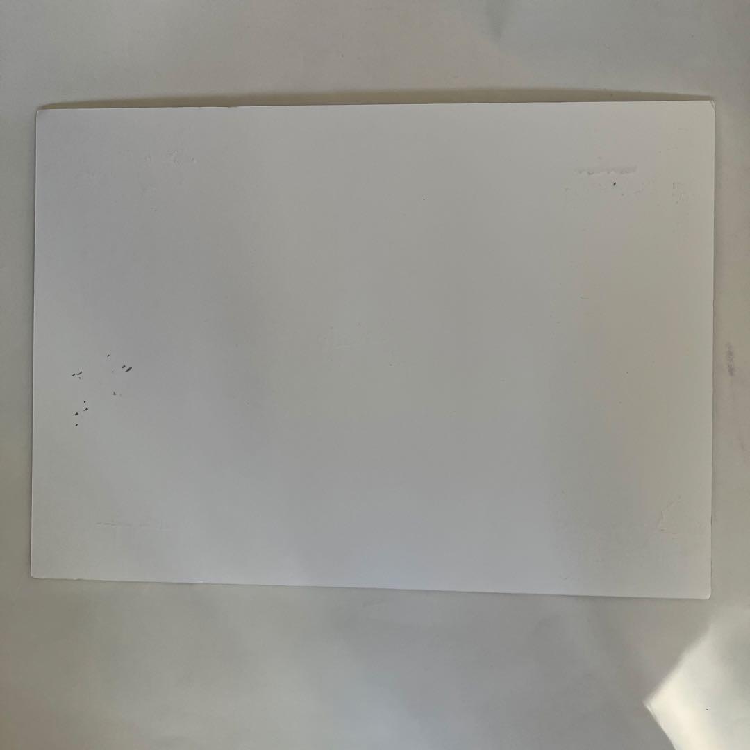 NEMOPHILA タワレコパネル 直筆サイン入り