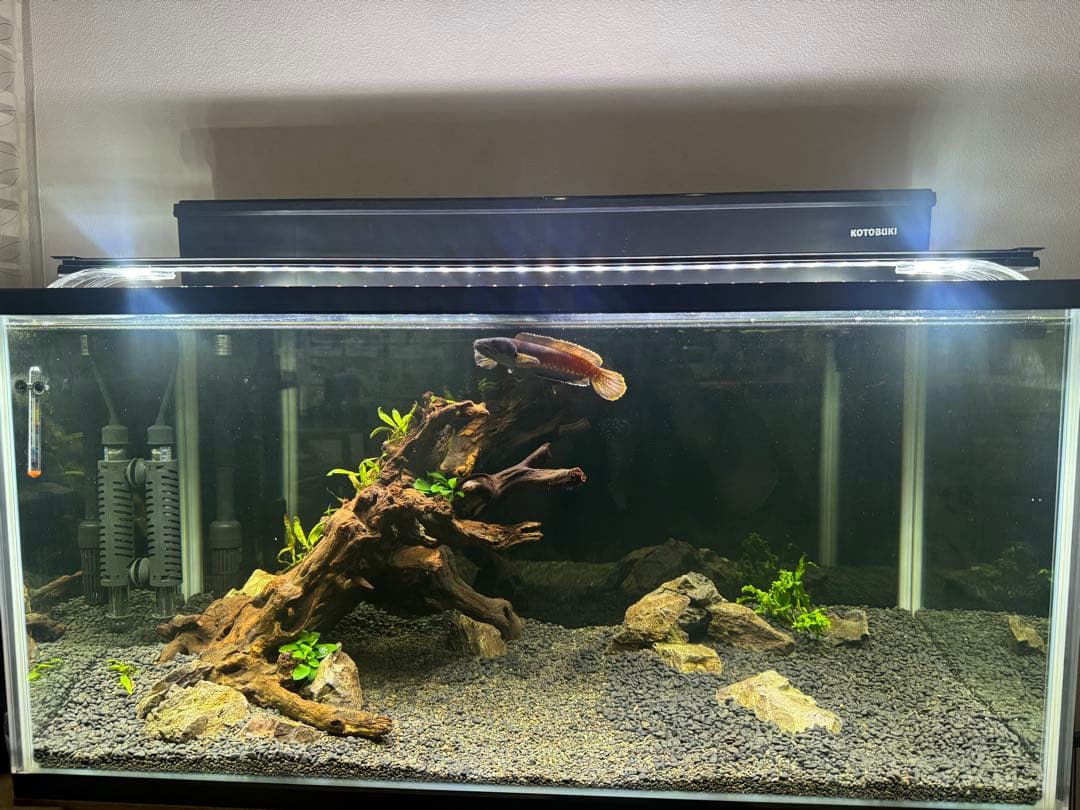 90cm ガラス水槽 LED照明、上部フィルター付き
