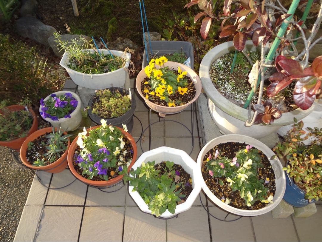 ☆動作OK SONY DSC-WX7 バッテリー&充電器&SDカード付き ピンク