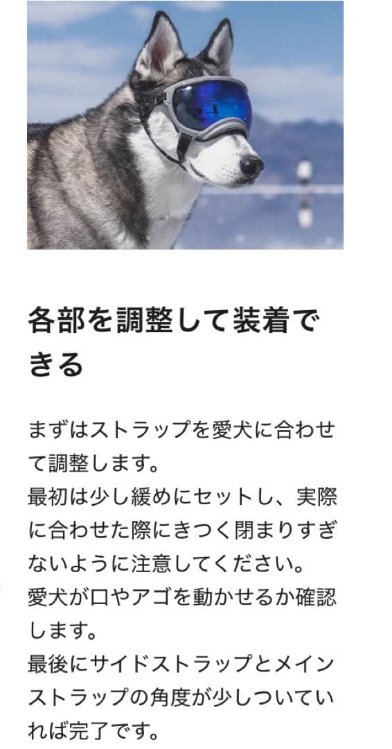 ALPHAICON アルファアイコン REXSPECS ドッグゴーグル　ブラック