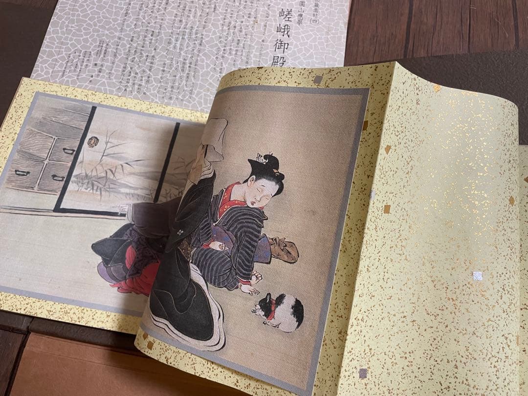 秘蔵画帖（四）圓山應擧 嵯峨御殿拾弐図