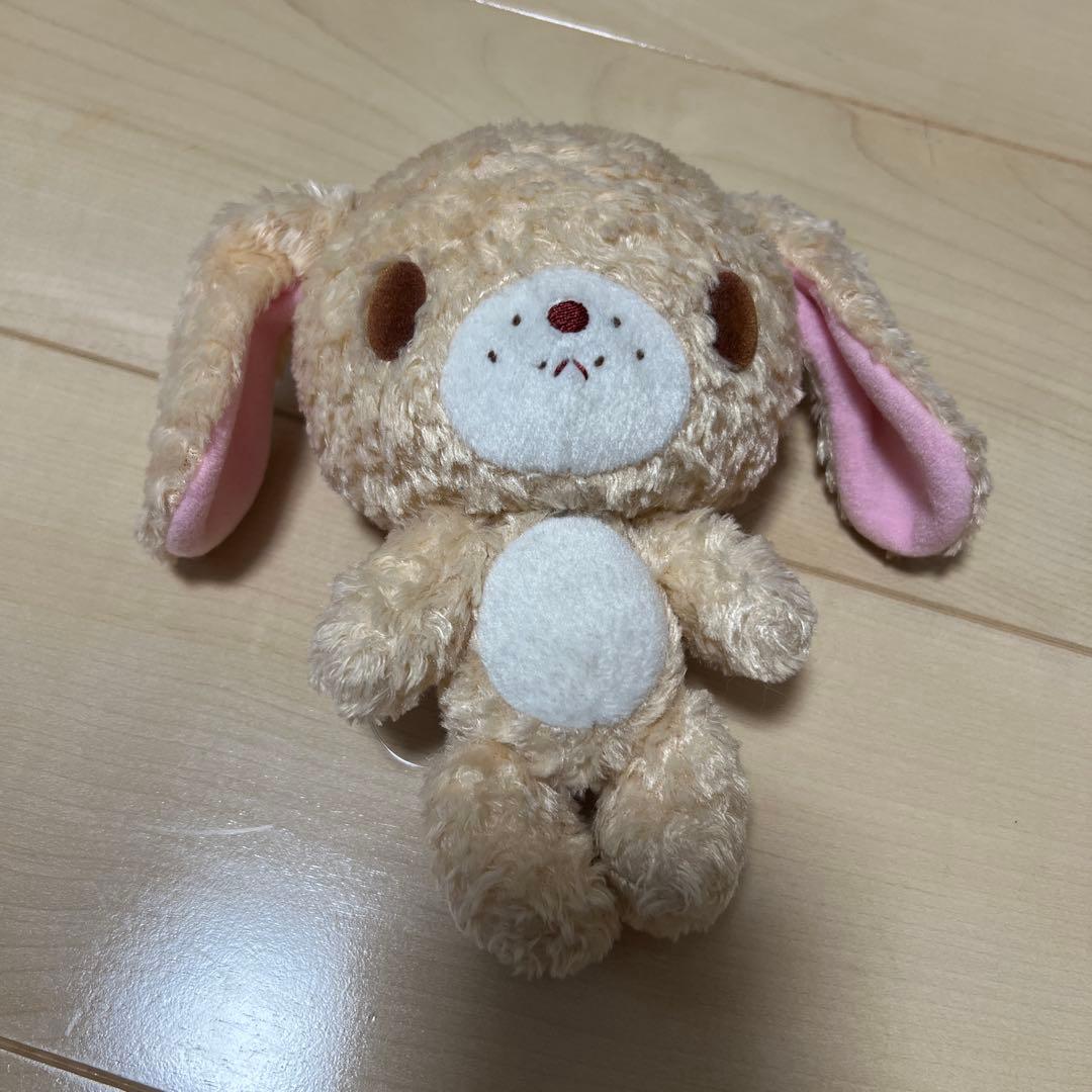 希少シュガーバニーズ　ラテうさ？